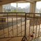 Illustration for article titled These Abandoned Malls Would Be Awesome Post-Apocalyptic Film Locations